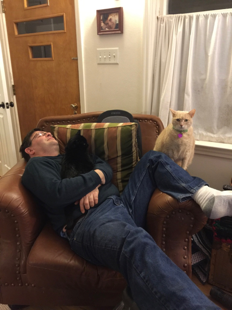 My Social Media Manager