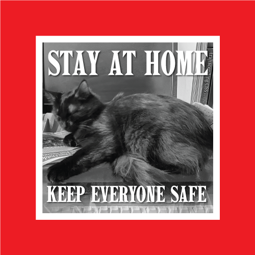 Boudica urging people to Stay at Home and Keep Everyone Safe